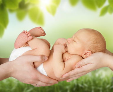 Phiosphie_und_Umsetzung_natur_grn